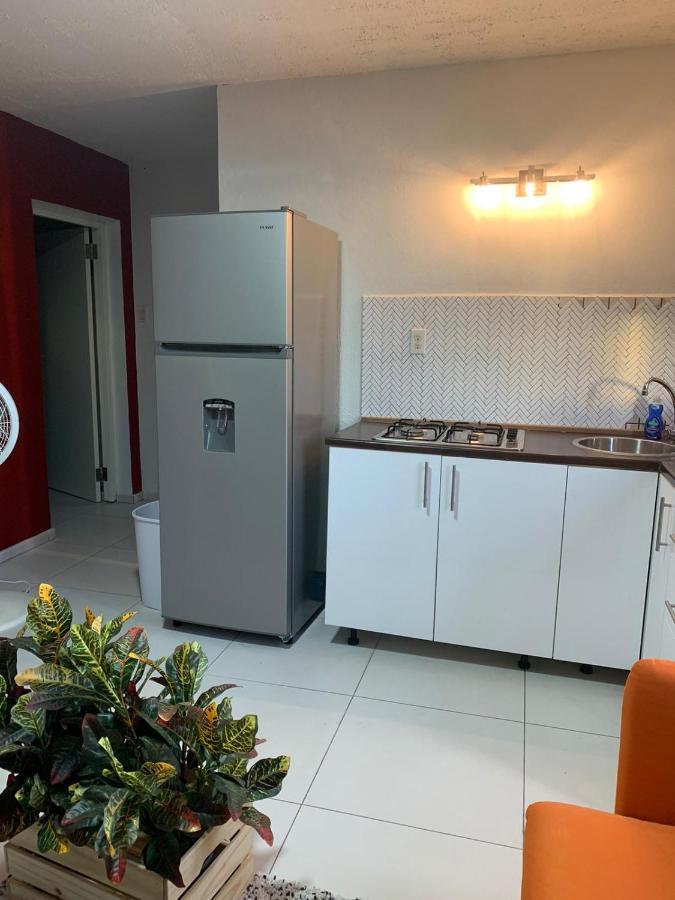 Villa Anthea วิลเลมสตัด ภายนอก รูปภาพ
