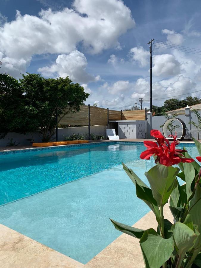 Villa Anthea วิลเลมสตัด ภายนอก รูปภาพ